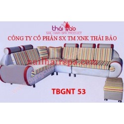 Ghế Nội Thất TBGNT53