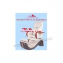 Spa Pedicure Chair TBS56