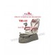 Spa Pedicure Chair TBS53