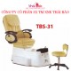 Spa Pedicure Chair TBS31