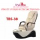 Spa Pedicure Chair TBS38