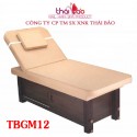 Giường Massage TBGM12