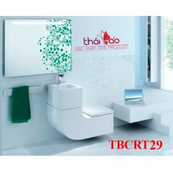 Sinks TBCRT29